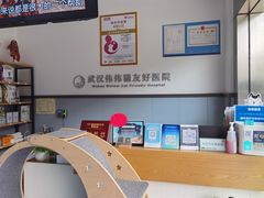 -伟伟宠物医院·瑞派猫友好医院·猫科(光谷店)