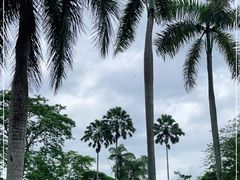 -中国科学院西双版纳热带植物园