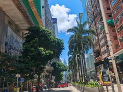 -华嫂冰室(尖沙咀店)