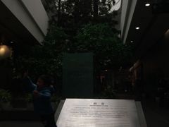 -中国湿地博物馆