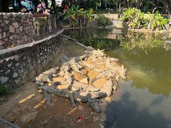 -南宁市动物园