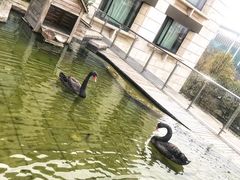 -行者书屋大堂吧 ·下午茶(南京圣和府邸酒店)