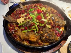 -老板恋上鱼(高新万达店)