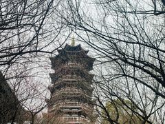 -洋湖国家湿地公园
