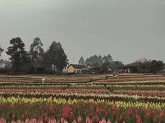 -保利石象湖景区