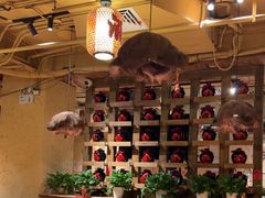 -泥糊破店小酒馆·团建聚餐(南京西路店)