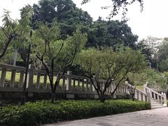 -乌山风景区