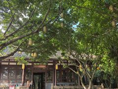 -四川大学(望江校区)