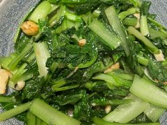 -向外鱼乐·土菜·虹鳟鱼