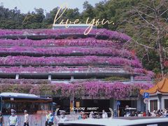 -深圳仙湖植物园