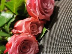 -欣乐糕点店(洪湖里总店)