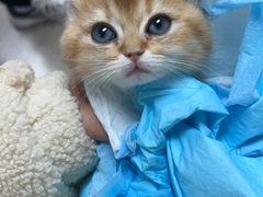 -爱派特动物医院·全科诊疗中心