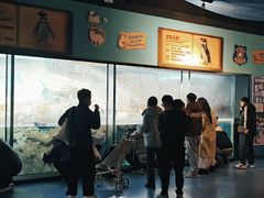 -海合安武汉极地海洋公园