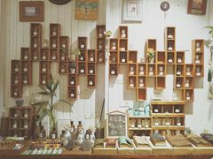 -湖南广播电视台娱乐频道
