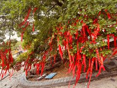 -冶父山国家森林公园