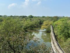 -西溪国家湿地公园