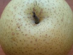 -乐乐鲜果(解放南路店)