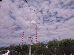 -杨柳青庄园