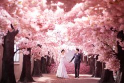 点击看大图 -今生有约国际精品婚纱摄影(苏州店)