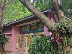-广州长隆飞鸟乐园