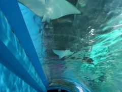 -常州海昌海洋探索馆