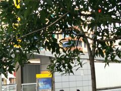 -CBD·中央大街(夷陵大道)