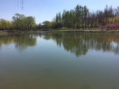 -大兴滨河森林公园