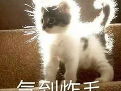 -槟城颠倒博物馆
