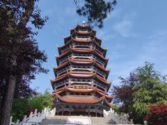 -铁山坪森林公园