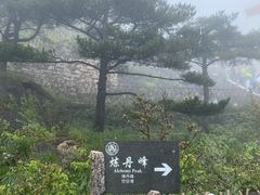 -黄山风景区