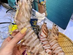 -鲜入围煮花胶鸡海鲜火锅