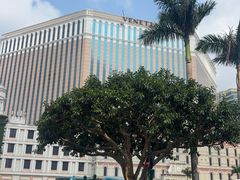 -澳门威尼斯人综合度假区