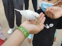 -北戴河集发农业梦想王国