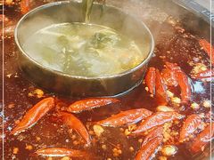 -重庆渝达老火锅(春熙路店)