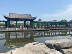 -莲花池公园