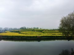-乌村