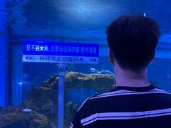 -常州海昌海洋探索馆