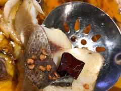 沸腾水煮鱼-新沸腾鱼乡(世贸天阶店)