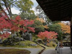 -醍醐寺