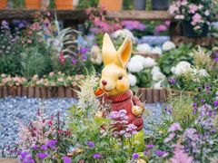 -武汉园博园(武汉自然博物馆)