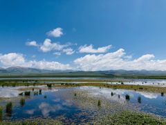 -花湖生态旅游区