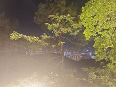 -大金鹰园