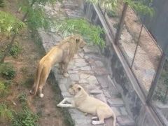 -石家庄市动物园