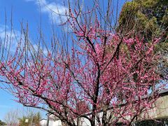 -苏州河梦清园环保主题公园