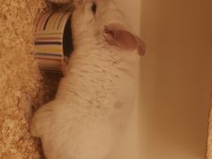 -龙猫仔乐园(惠福东路店)