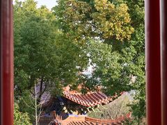 -开福禅寺