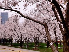 -龙美术馆西岸馆-停车场