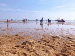 -巧克力渔家.小船海鲜胶东菜(万平口店)