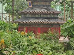 -南宫五洲植物乐园