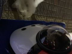 -我爱吾宠宠物美容院(朝阳路店)